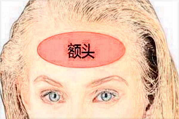 自體脂肪豐額頭價(jià)格表_自體脂肪豐額頭可以維持多久