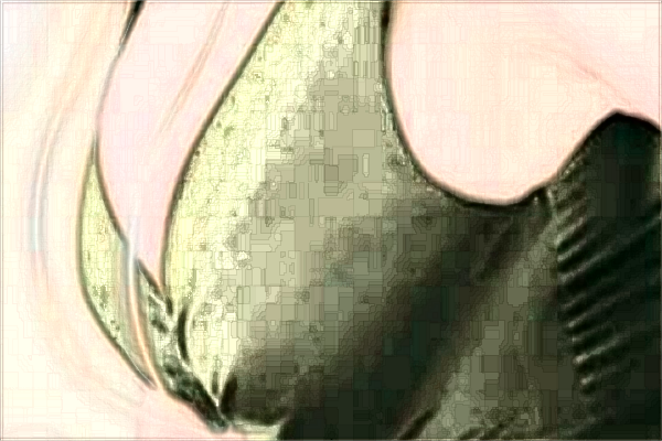 2024-2024北京中醫(yī)醫(yī)院整形外科醫(yī)生名單