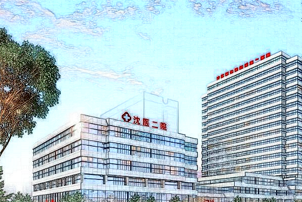 2024沈陽二院整形科價目表_沈陽醫(yī)大二院整形科哪個大夫好