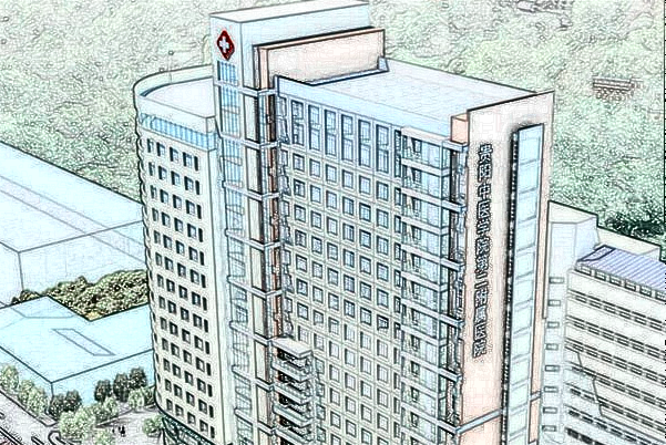 貴陽(yáng)中醫(yī)學(xué)院二附院墊下巴多少錢_哪位醫(yī)生做的比較好