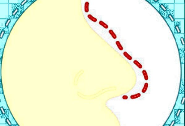 北京美萊怎么樣?一般價格多少錢