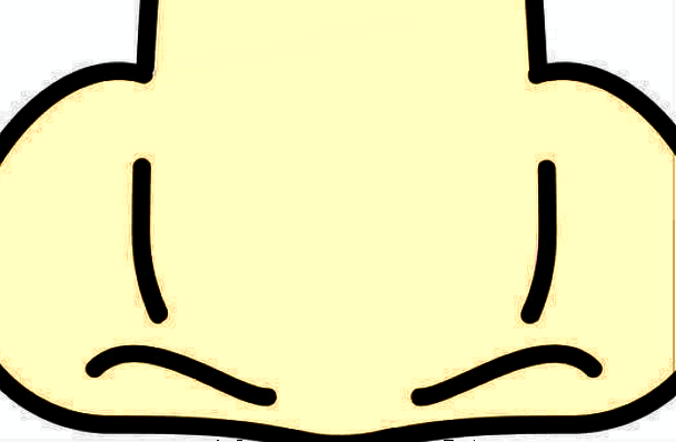 膨體隆鼻會(huì)不會(huì)越來(lái)越低?膨體隆鼻會(huì)吸收變低嗎?