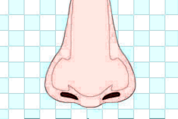 成都百齡做肋骨鼻怎么樣?肋骨鼻手術費用價格2024