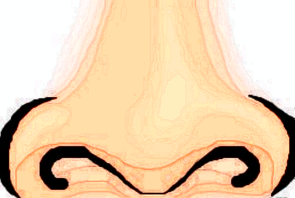 上海華山醫(yī)院隆鼻做的好嗎_哪個醫(yī)生做得好