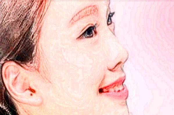 2024廣州華美價格表_怎么樣