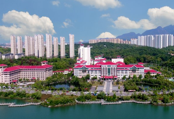 2024九江市第一醫(yī)院脫毛價格?脫毛用哪種方法好