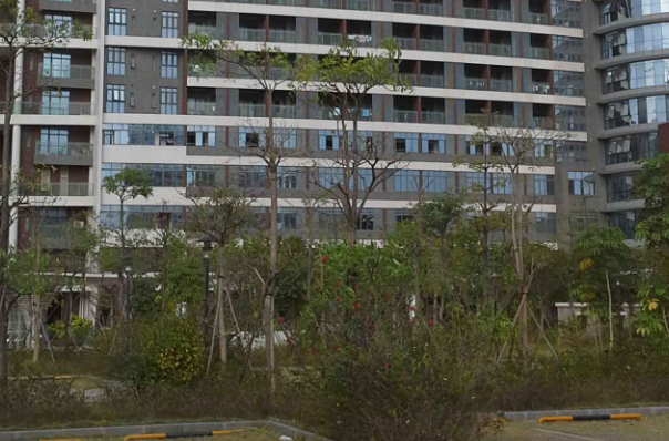 中山大學(xué)附屬第一醫(yī)院口腔科主任好嗎?2024如何收費