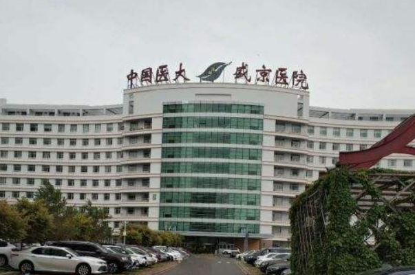 沈陽盛京醫(yī)院隆胸做的怎么樣_誰做得好