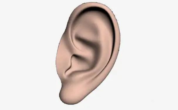 華中科技大學同濟醫(yī)學院醫(yī)院杯狀耳矯正技術(shù)評測怎么樣?術(shù)后半年案例曝光