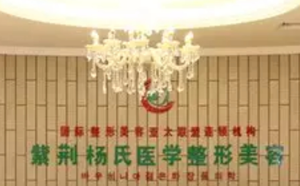 楊氏醫(yī)學(xué)美容診所鼻整形技術(shù)怎么樣?收費標(biāo)準(zhǔn)?案例點評