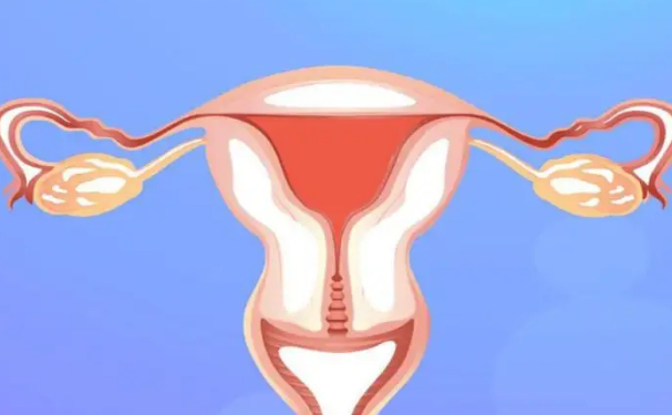 青島新陽光婦產醫(yī)院陰道松弛手術術后一年案例欣賞&價格查詢?