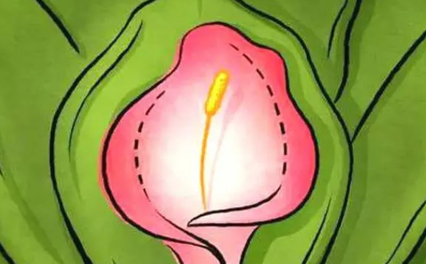 蘇州薇琳美容醫(yī)院縮陰手術(shù)價(jià)目一覽表?技術(shù)評(píng)價(jià)&三個(gè)月案例恢復(fù)過(guò)程