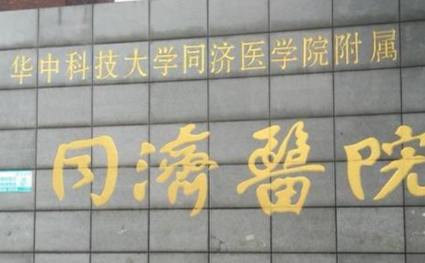 華中科技大學(xué)同濟醫(yī)學(xué)院醫(yī)院植發(fā)技術(shù)怎么樣?價格明細?術(shù)后半年案例反饋