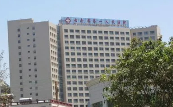 昆明市第一人民醫(yī)院星耀醫(yī)院脂肪填充術(shù)后半年案例欣賞&價格明細?