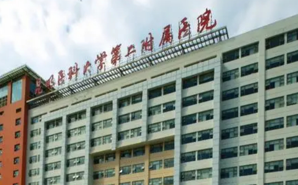 昆明醫(yī)科大學(xué)第二附屬醫(yī)院陰道緊縮手術(shù)技術(shù)怎么樣?收費(fèi)多少?求美案例