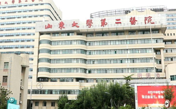 山東大學第二醫(yī)院豐唇注射一般多少錢?技術等級&術后6個月案例