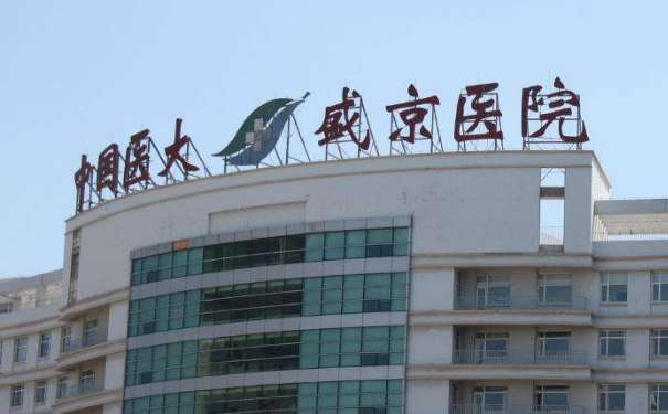 中國(guó)醫(yī)科大學(xué)附屬盛京醫(yī)院王宇令兩腮凹陷填充收費(fèi)標(biāo)準(zhǔn)?技術(shù)風(fēng)格&案例變化